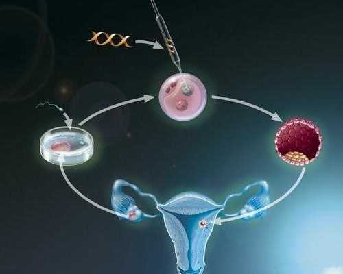 供卵试管助孕流程,【广西三大助孕公司】百色三大助孕公司