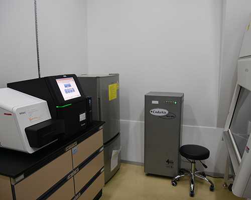 孕妇晨尿浑浊是否涉及细菌感染？孕妇怎么预防细菌感染？