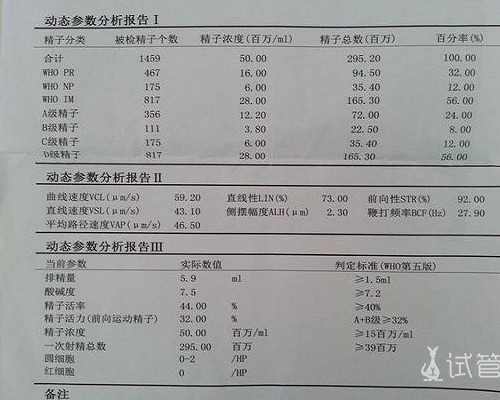 如何增加怀上双胞胎的机会？有现代方法能生双胞胎吗？