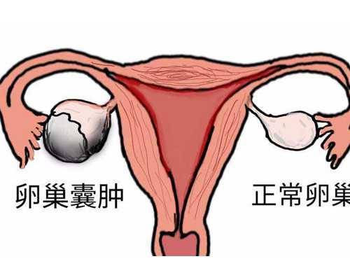 北三和妇产的区别