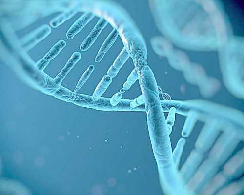 自然流产食疗法