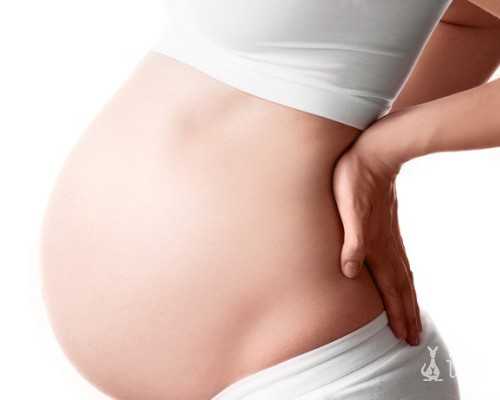 供卵试管的机构有哪些,石家庄助孕机构_正规助孕平台