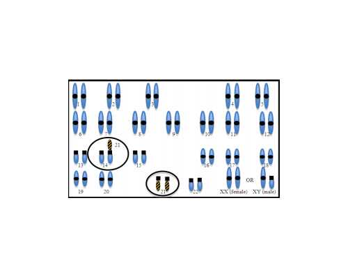 问题试管一次移植失败，需要多久进行下次移植?