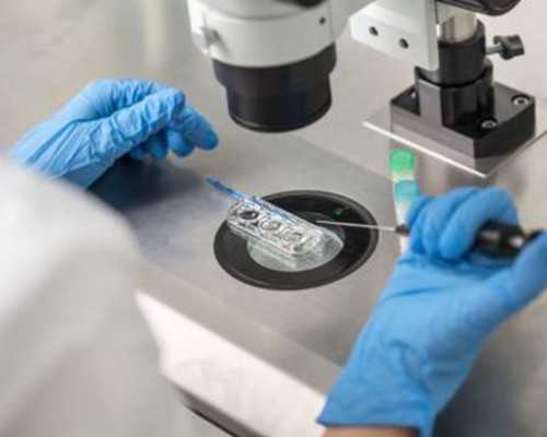 助孕供卵试管机构,石家庄十大助孕机构-正规助孕网