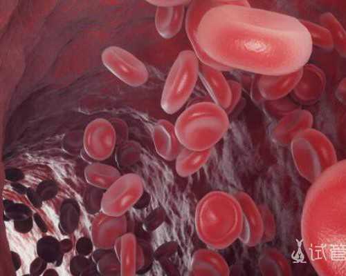 小学行为习惯教学随笔