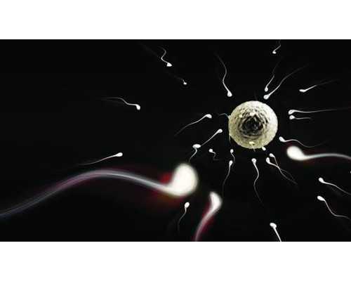 供卵代怀哪家最好,石家庄专业助孕价格_正规助孕公司