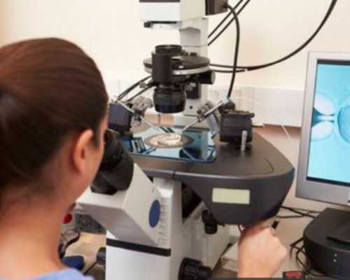 哪个医院供卵试管好,广西三大助孕公司_南宁三大助孕公司是哪三家